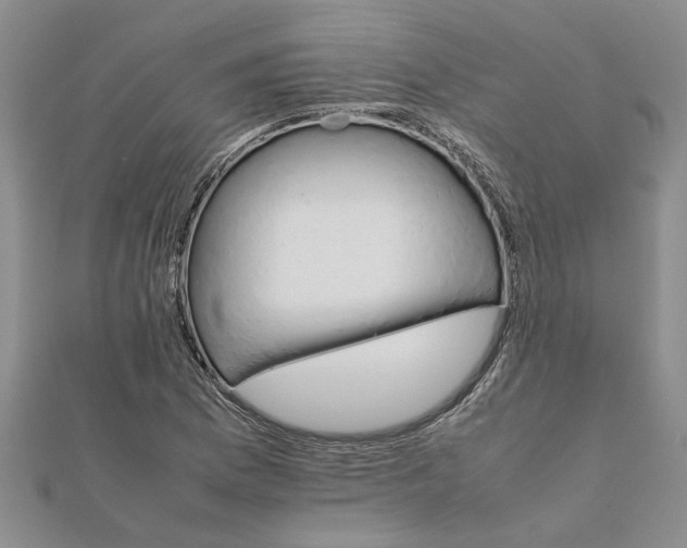 X0000111681169200908141444