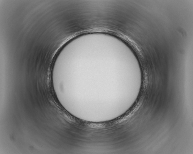 X0000111681170200908141444