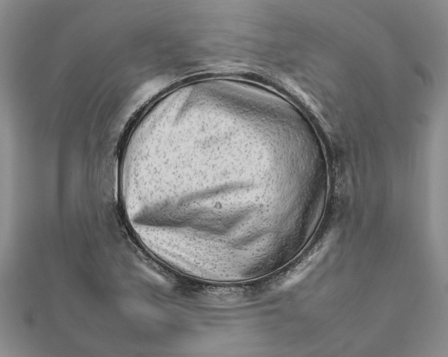 X0000111681171200908141444