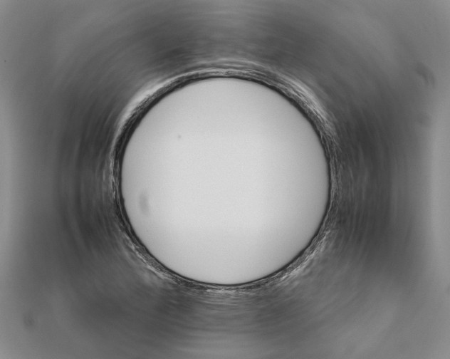 X0000111681172200908141444