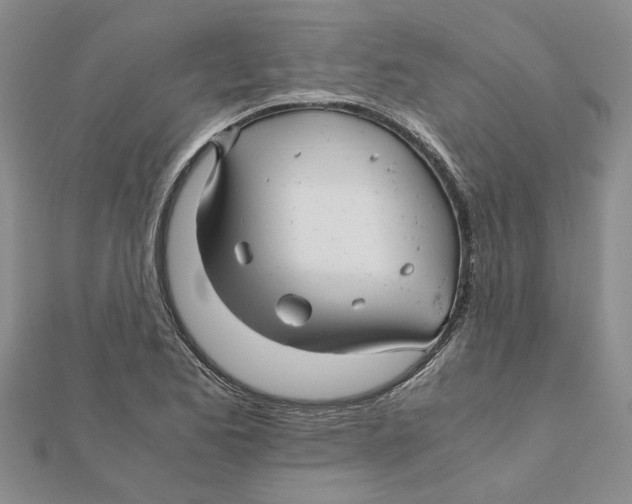 X0000111681173200908141444