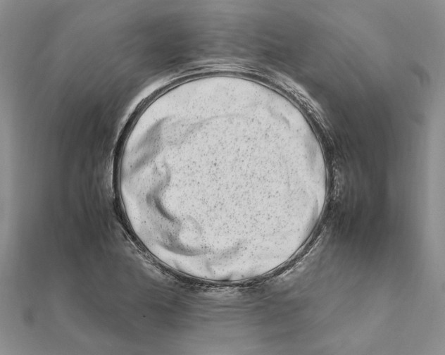 X0000111681174200908141444