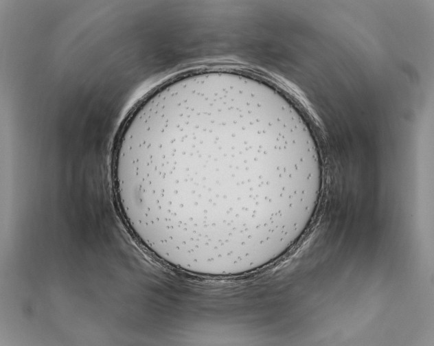 X0000111681176200908141443