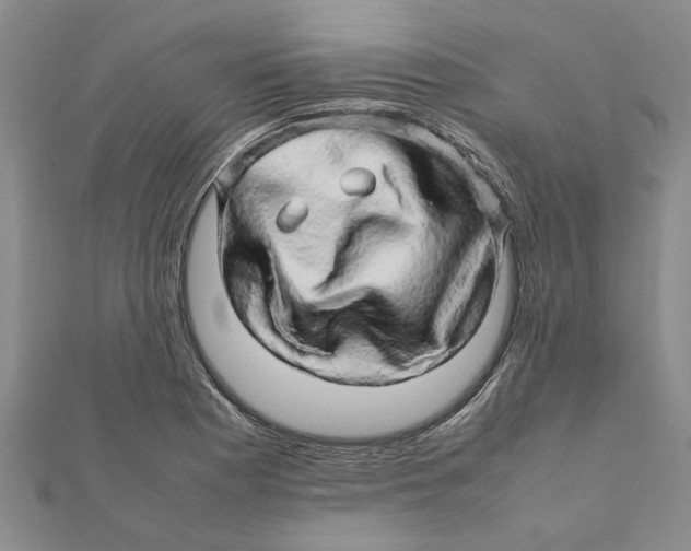 X0000111681177200908141443