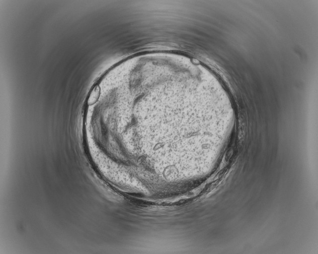 X0000111681179200908141443