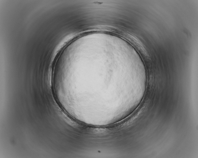 X0000111681180200908141443