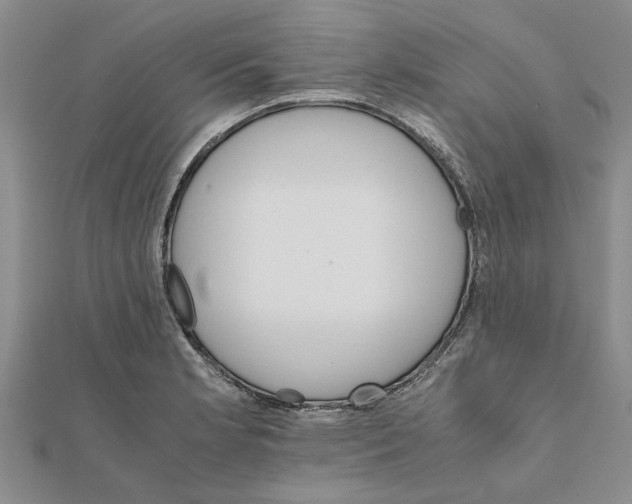 X0000111681181200908141443