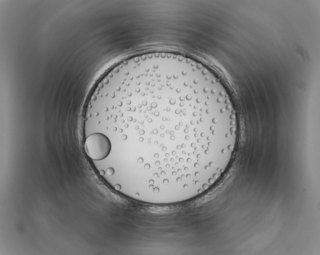 X0000111681182200908141443