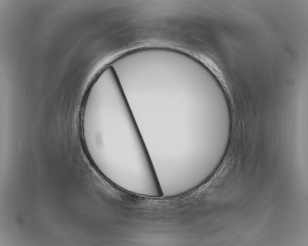 X0000111681183200908141443