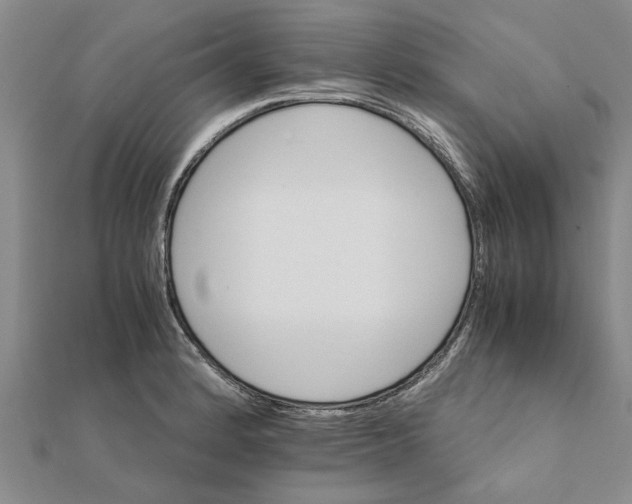 X0000111681184200908141443