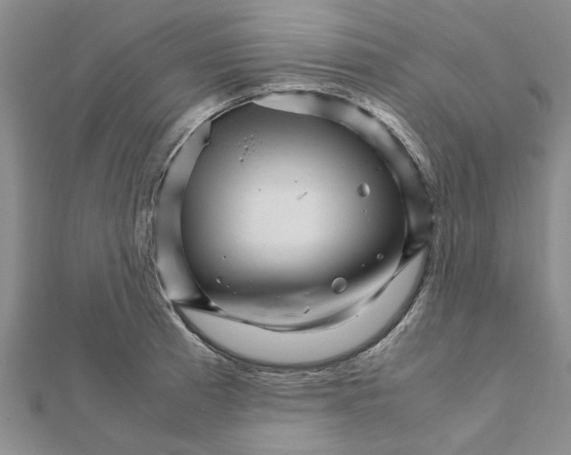 X0000111681185200908141443