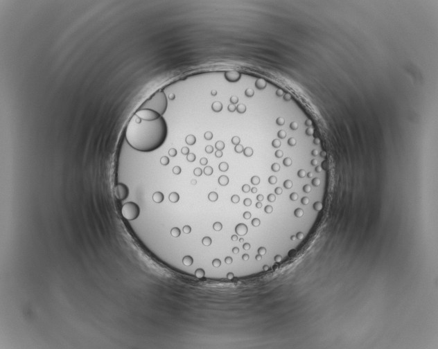 X0000111681186200908141443