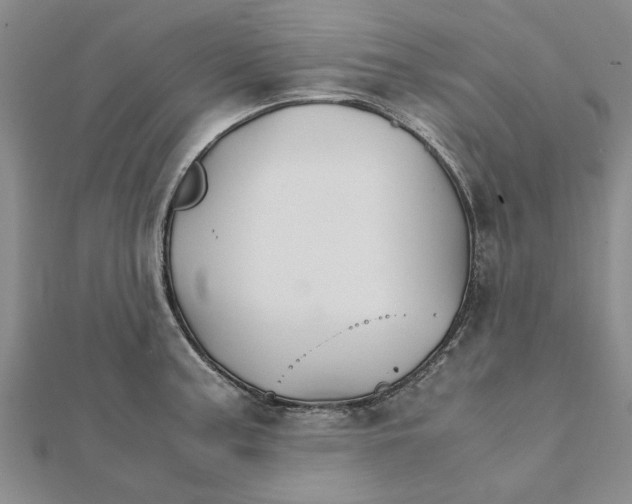 X0000111681187200908141443