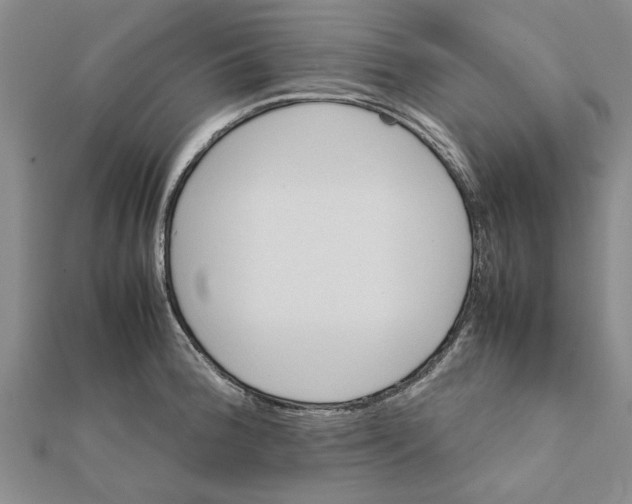 X0000111681188200908141443