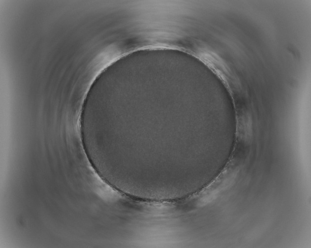 X0000111681189200908141443