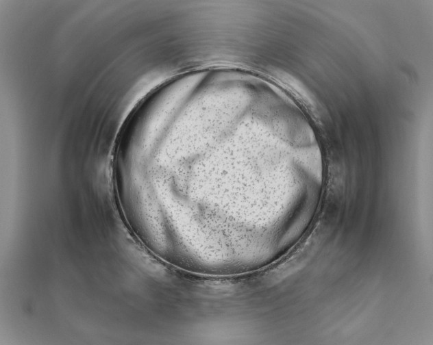 X0000111681190200908141443