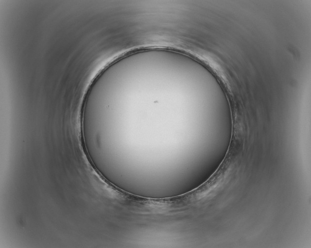 X0000111681191200908141443