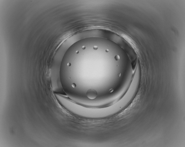 X0000111681193200908141443