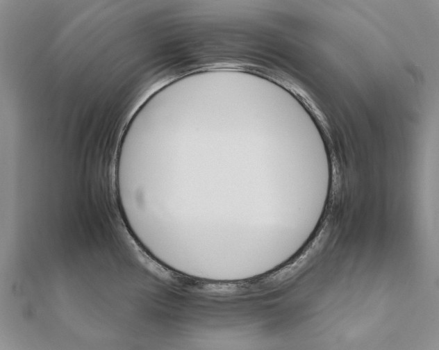 X0000111681194200908141443