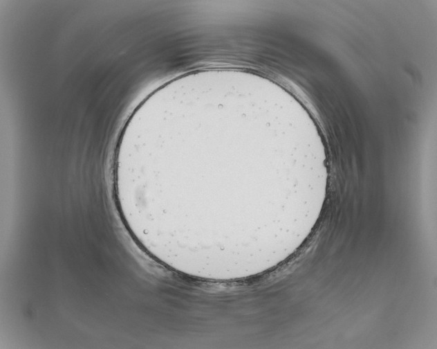 X0000111681195200908141443