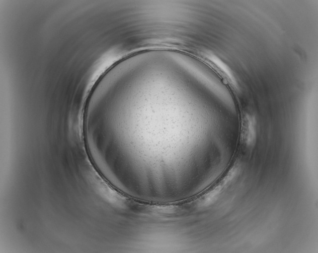 X0000111681196200908141443