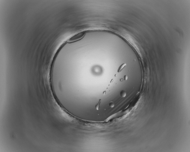 X0000111681197200908141443