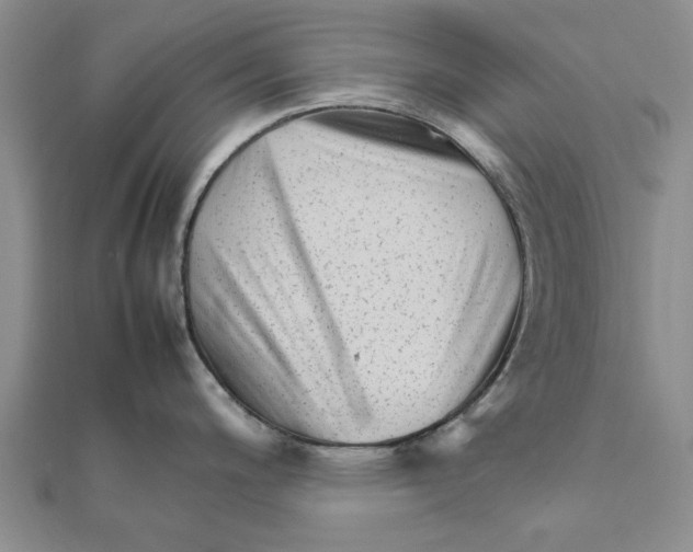 X0000111681200200908141443