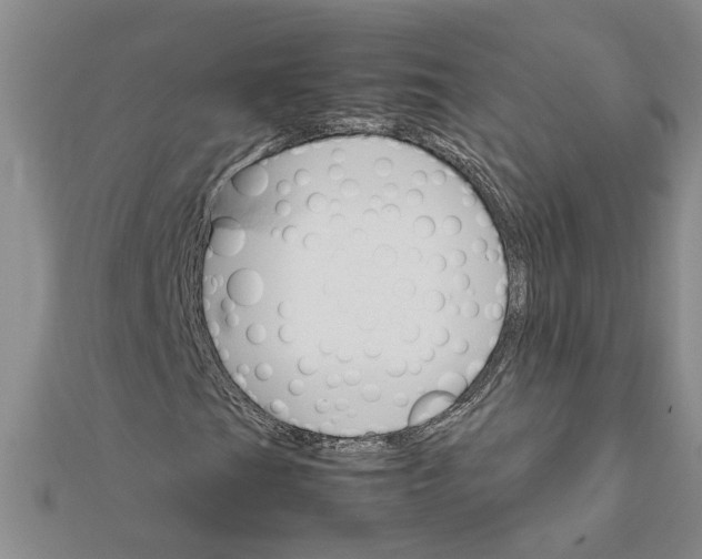 X0000111681201200908141442