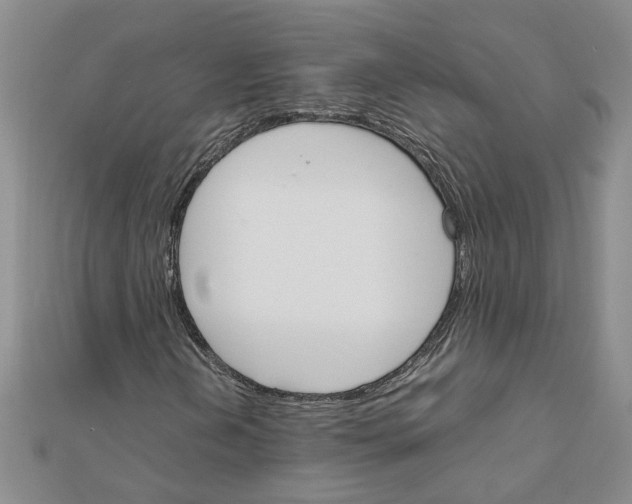 X0000111681202200908141442