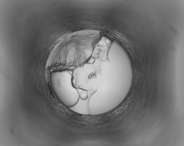 X0000111681205200908141442