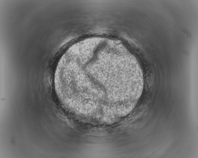 X0000111681206200908141442