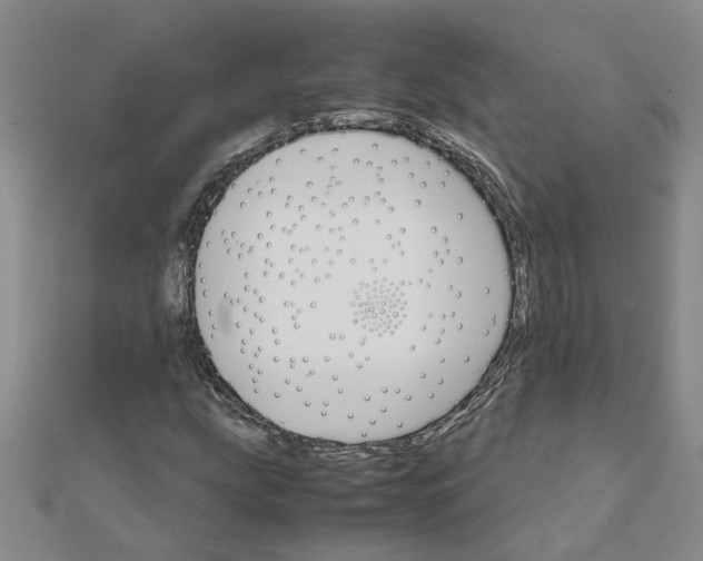 X0000111681207200908141442