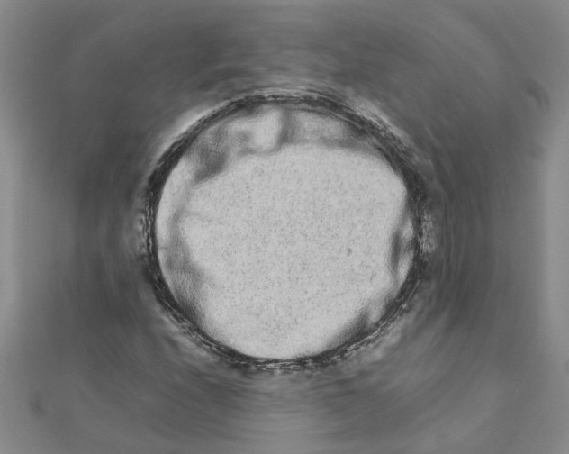 X0000111681208200908141442