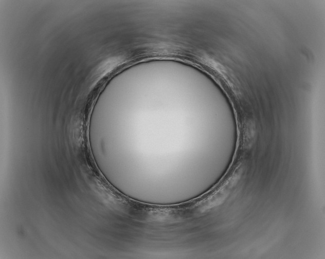 X0000111681211200908141443