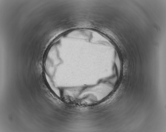 X0000111681212200908141443