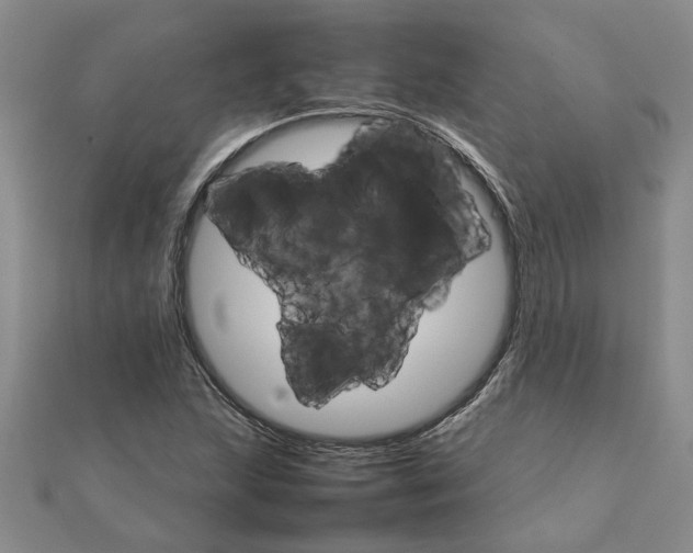 X0000111681215200908141443