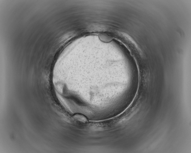 X0000111681217200908141443