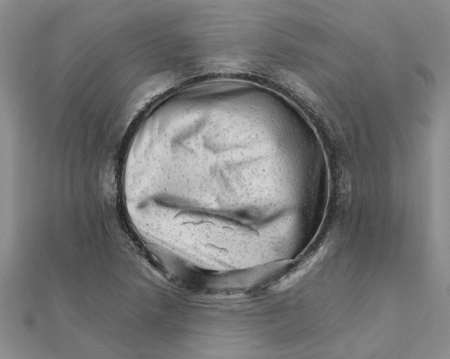 X0000111681218200908141443