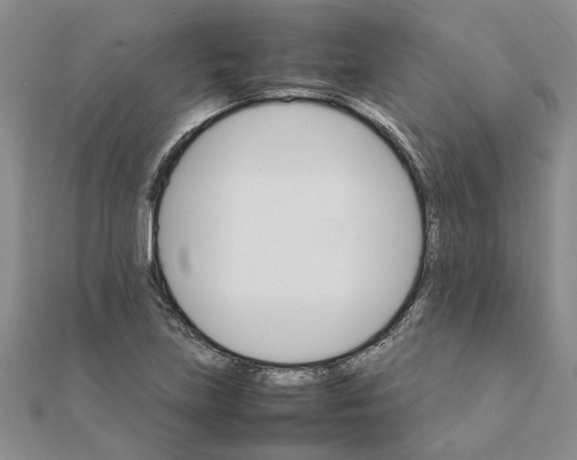 X0000111681219200908141443