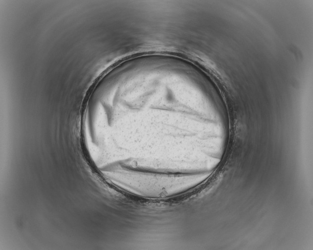 X0000111681220200908141443