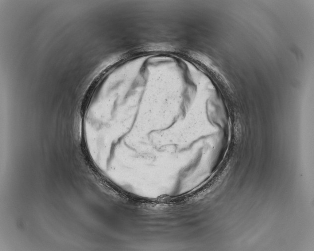 X0000111681221200908141443