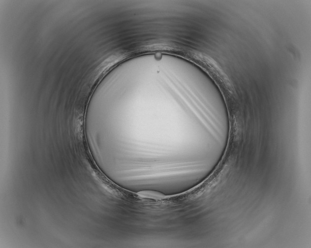 X0000111681225200908141443