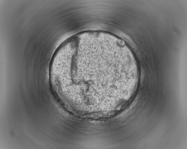 X0000111681226200908141443