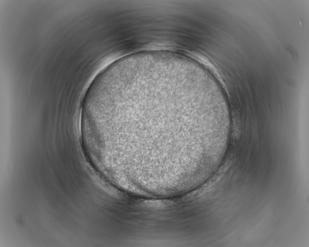 X0000111681227200908141443