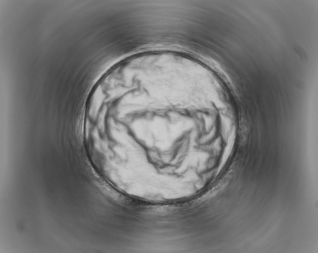 X0000111681228200908141443