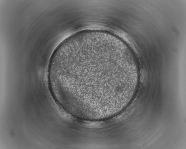 X0000111681229200908141443