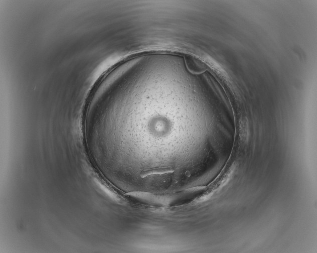 X0000111681230200908141443