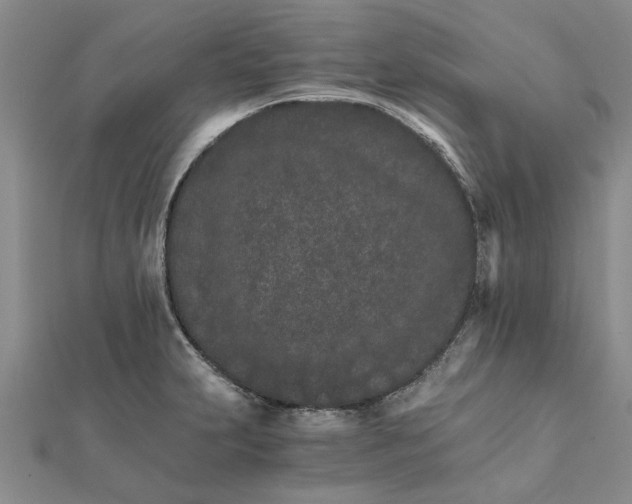 X0000111681231200908141443