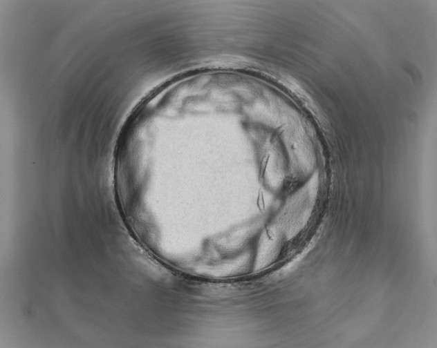 X0000111681232200908141443