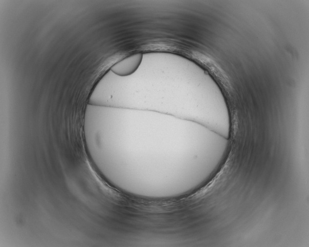 X0000111681233200908141443